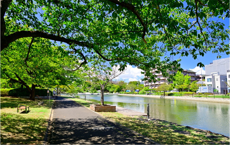 新田公園