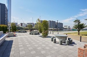 豊海運動公園BBQ場