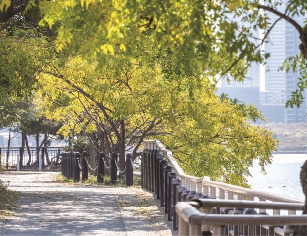 塩浜海岸