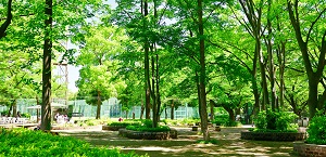 城北中央公園