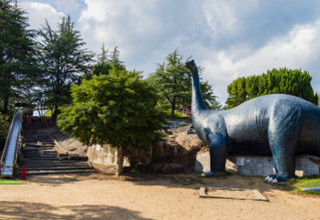 太陽の丘公園