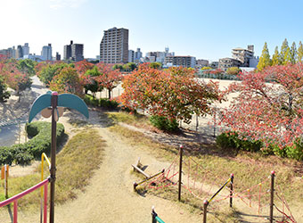 上ヶ池公園