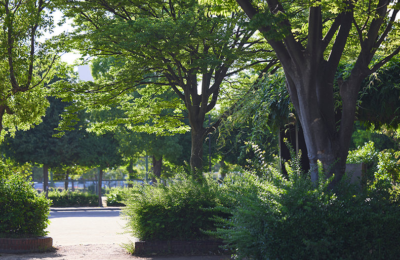 二十公園