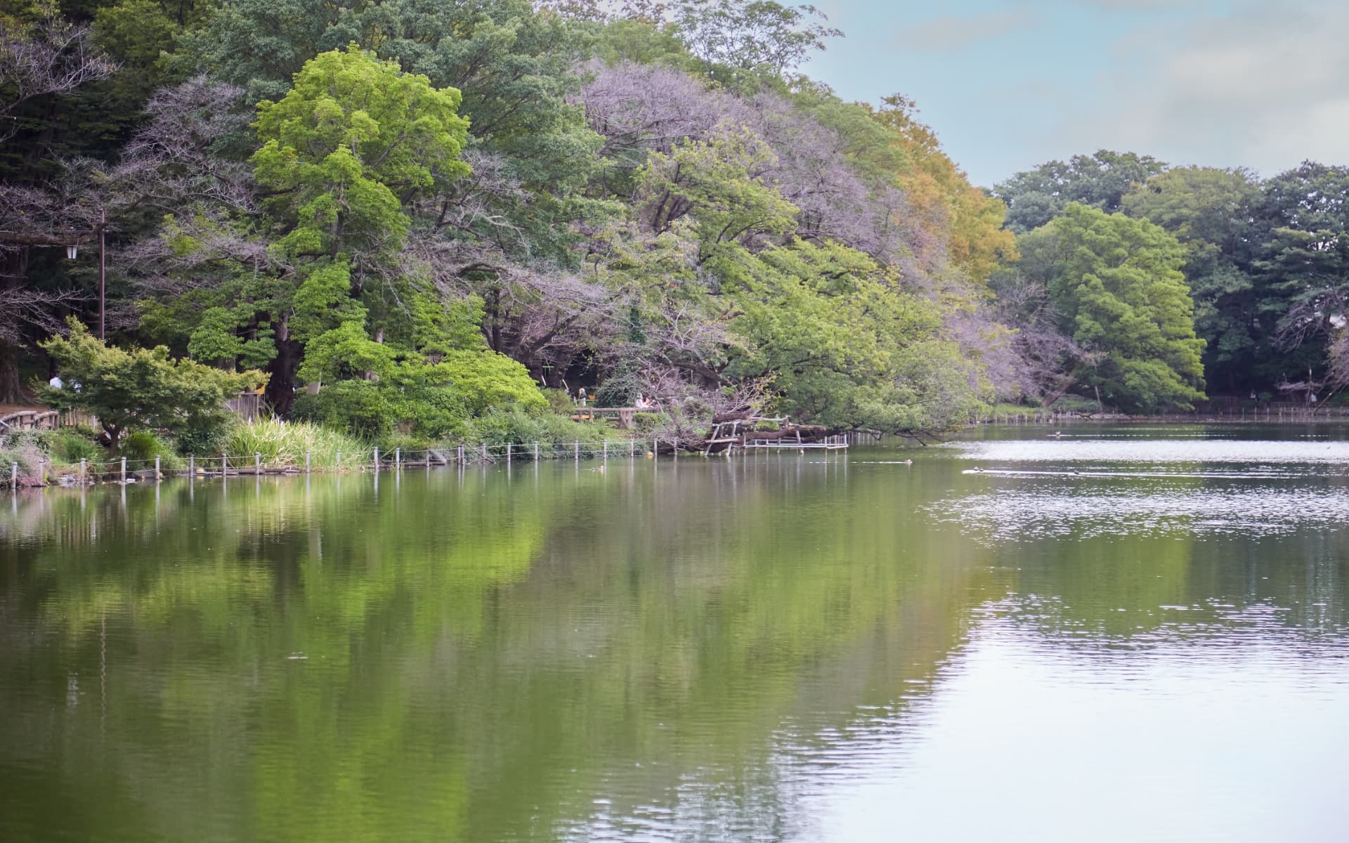 都立井の頭恩賜公園