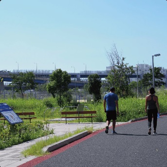 小野浜公園