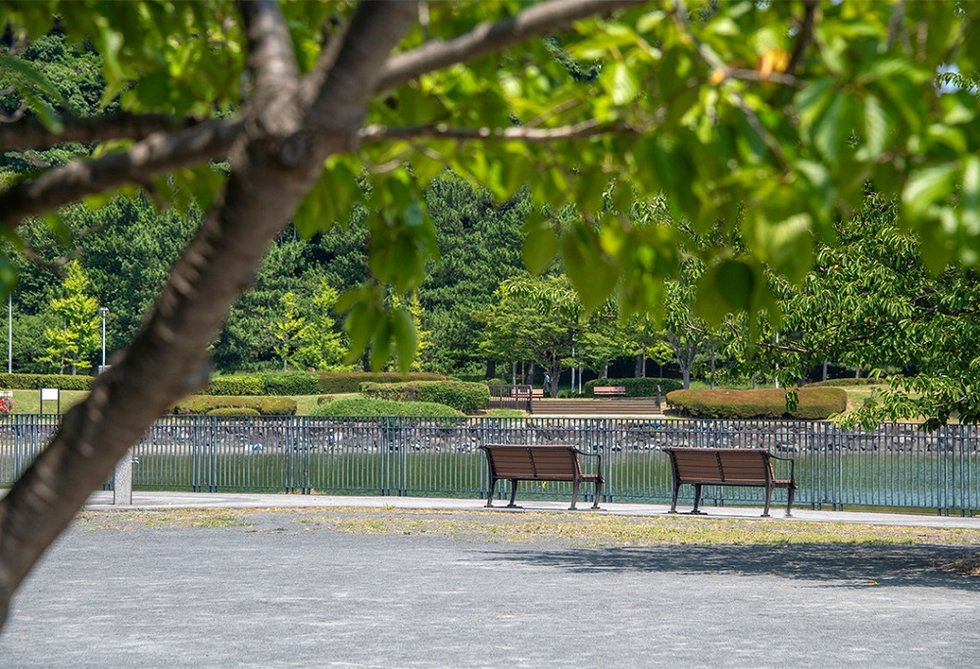 富岡並木ふなだまり公園