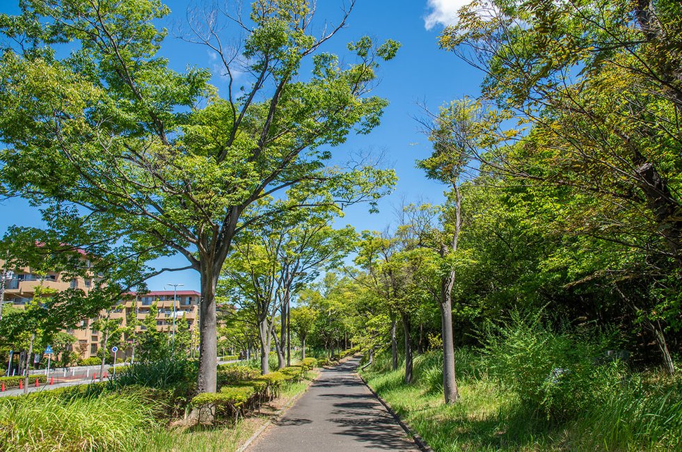 金沢緑地