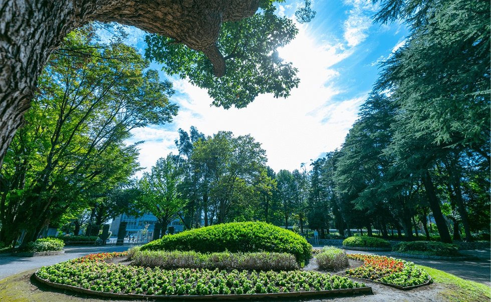 松戸中央公園