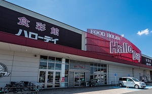 ハローデイ井堀店