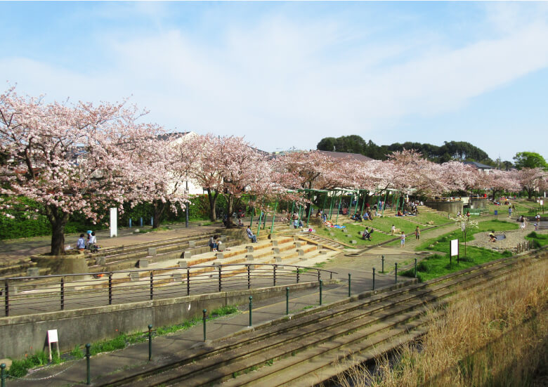 地蔵原の水辺