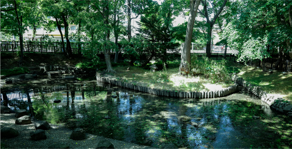 北海道大学植物園