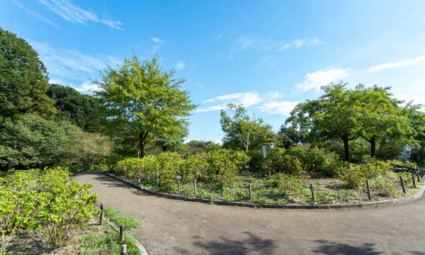 相模原北公園