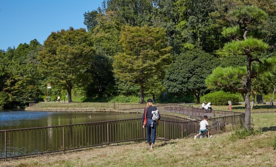こども自然公園