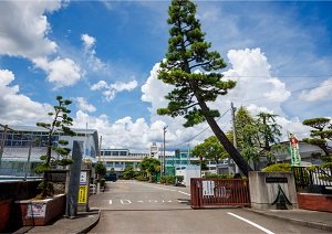 藤枝市立青島小学校