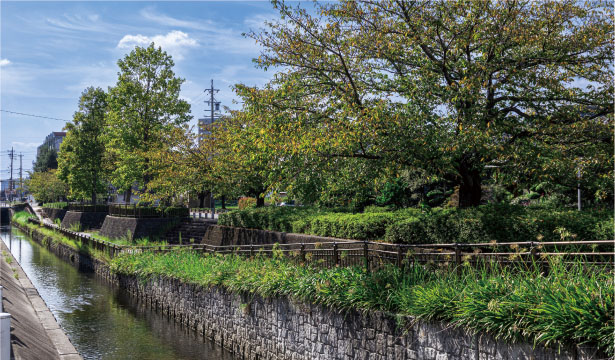 明治用水緑道