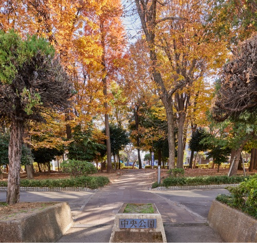中央公園