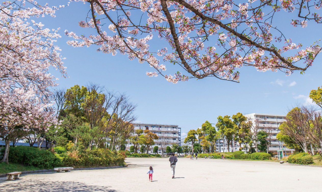 板付中央公園