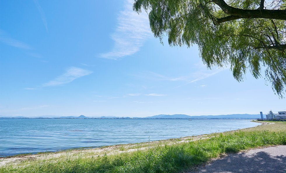 柳が崎湖畔公園