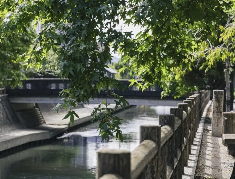 水門川遊歩道 四季の路（ミニ奥の細道）