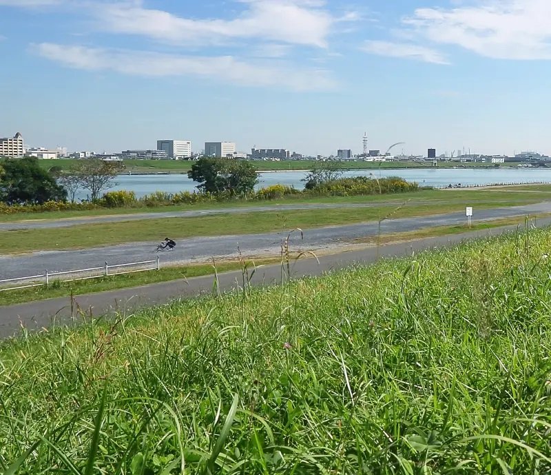 篠崎緑地