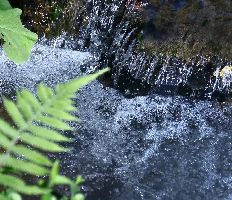 篠田堀親水緑道