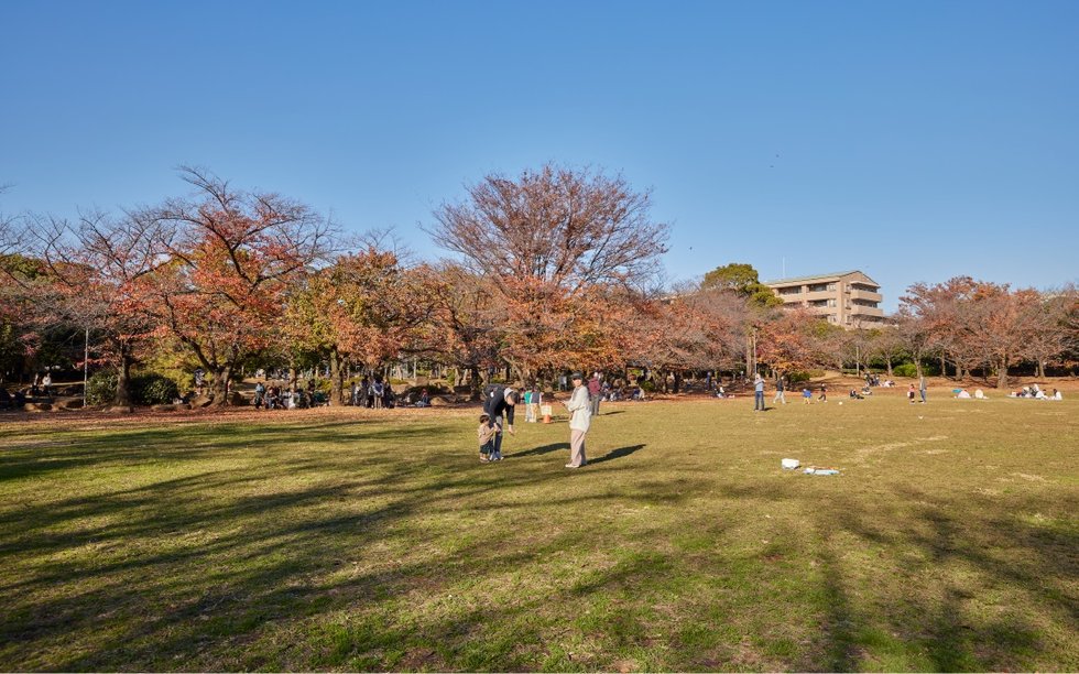 蕨市民公園