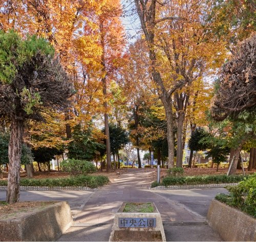 中央公園