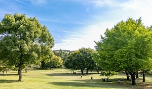 武蔵国分寺公園