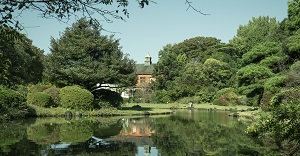 小石川植物園