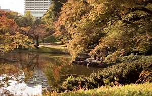 小石川後楽園