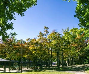 西一社中央公園