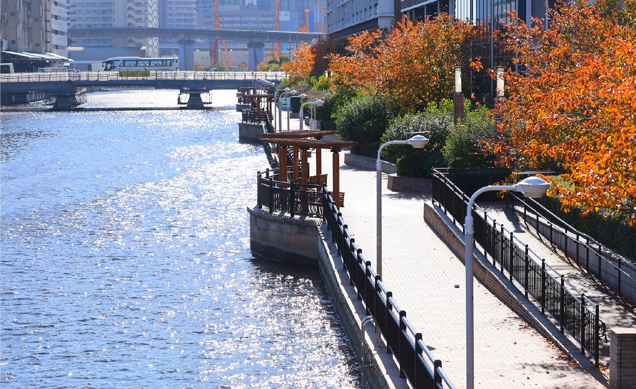 芝浦西運河沿緑地