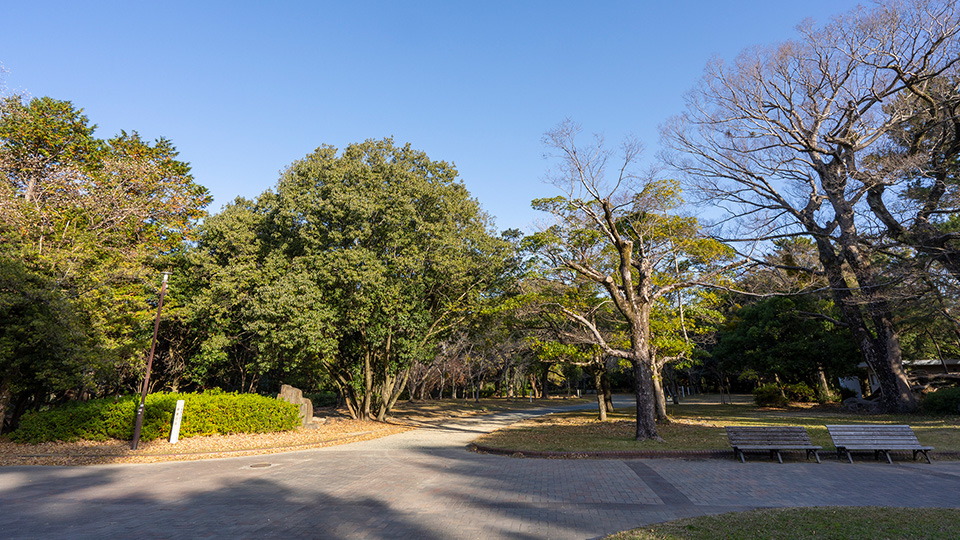 豊橋公園