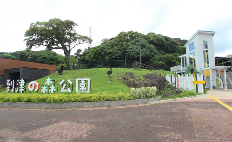 到津の森公園