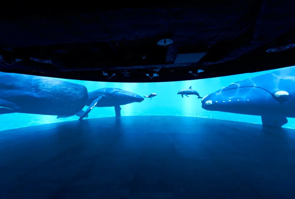 カワスイ 川崎水族館