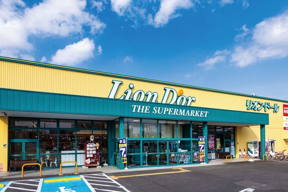 リオンドール 野田店