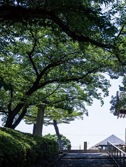 覚王山日泰寺