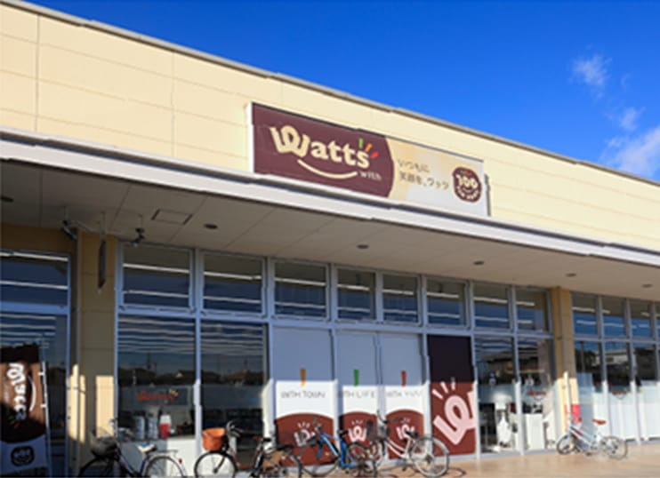 Watts