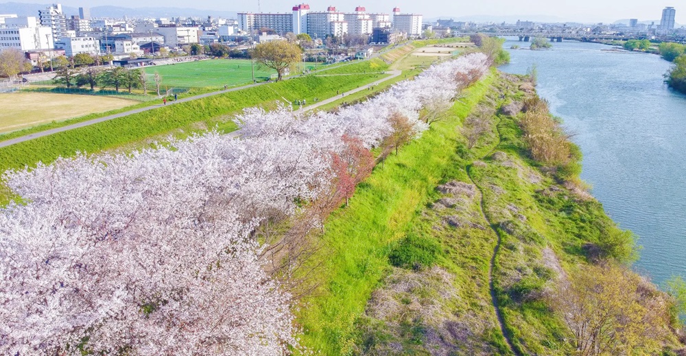 桂川