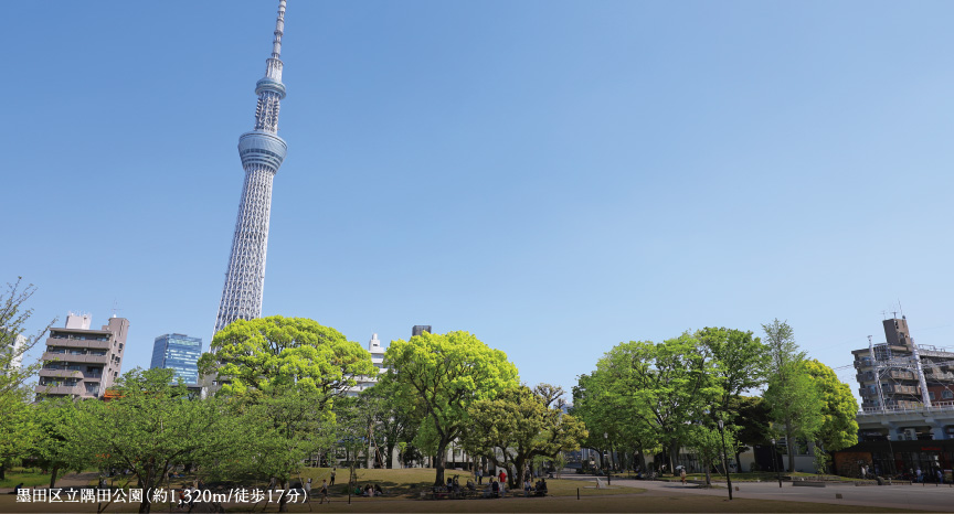 墨田区隅田公園