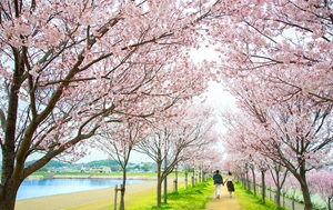 狭山池公園