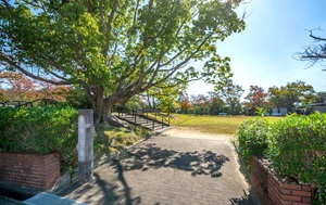 寺池公園