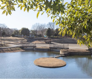 近隣公園