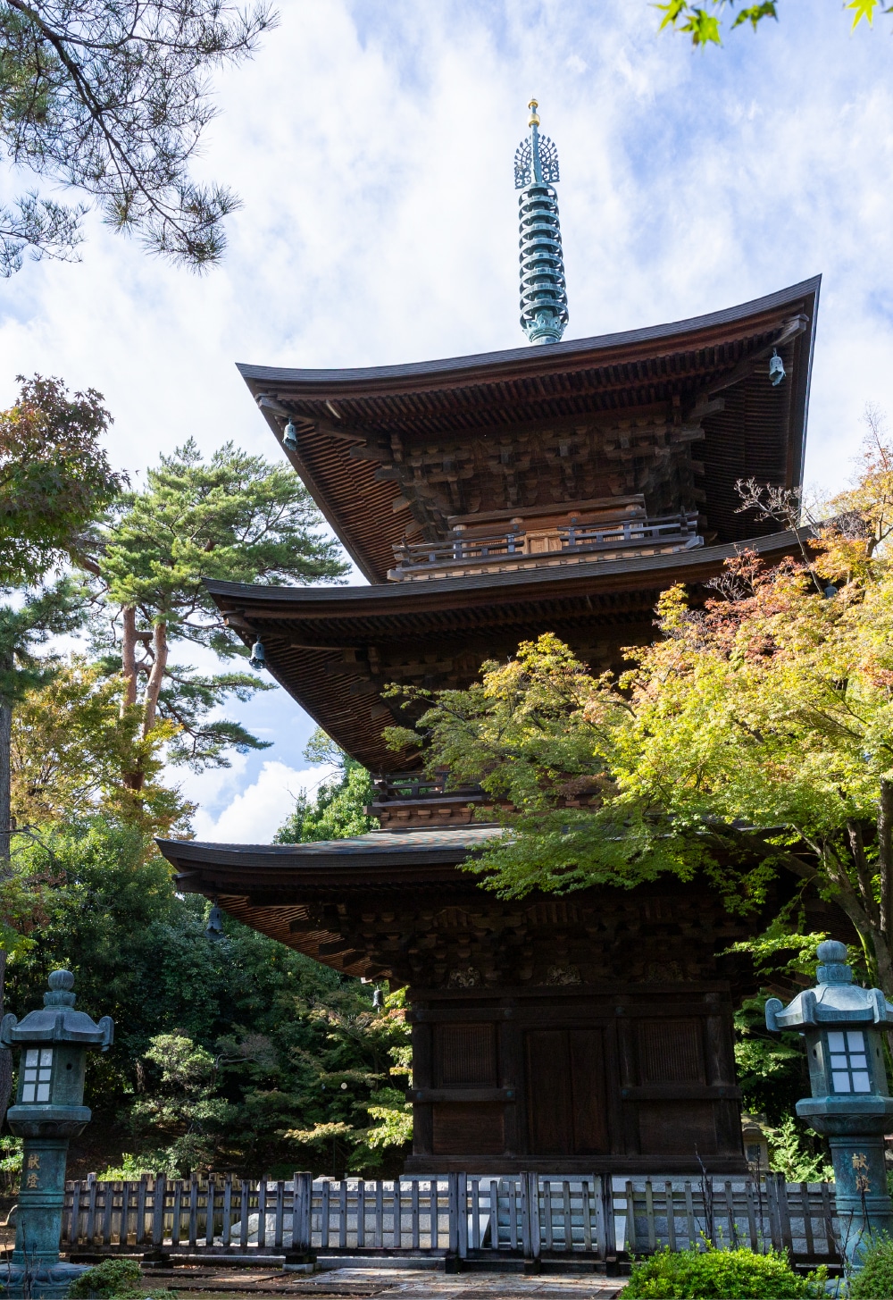 豪徳寺