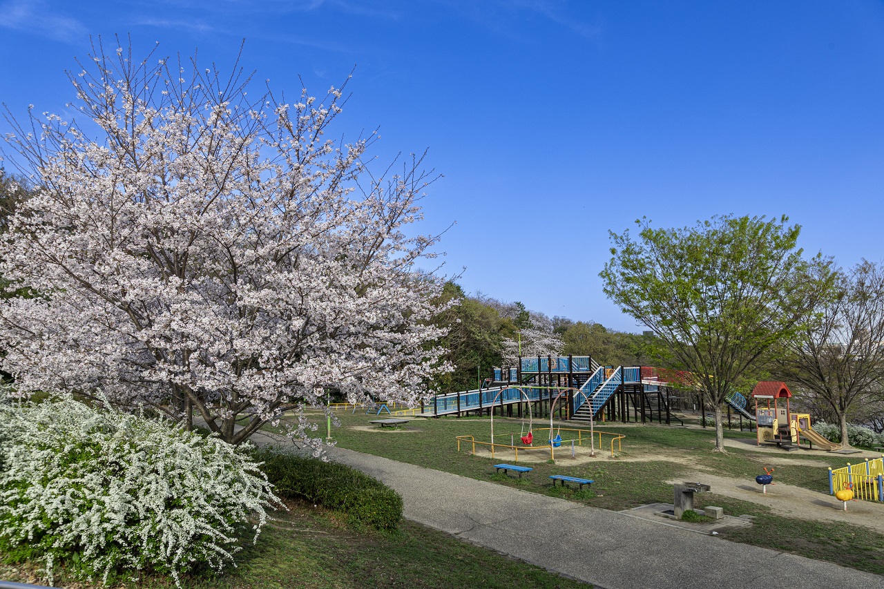 天白公園