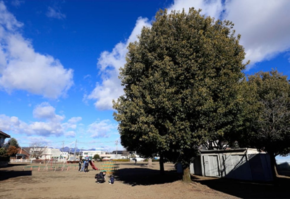 城東児童公園