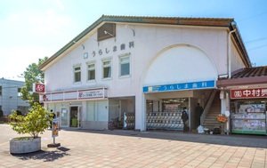 うらしま歯科