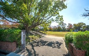 寺池公園