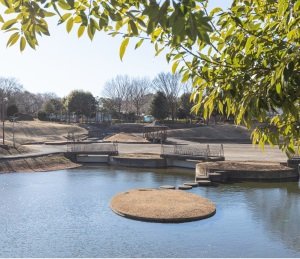近隣公園