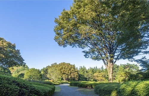 神代植物公園